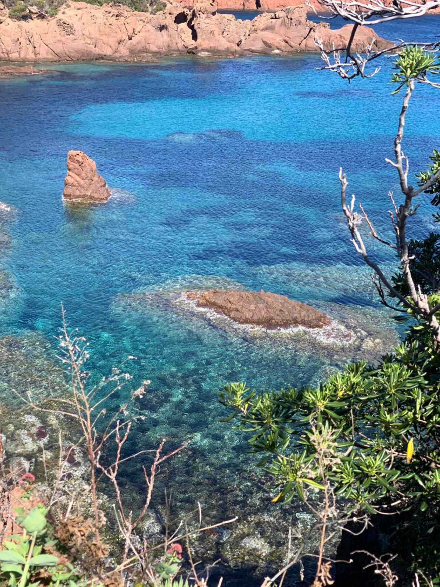 Beau 2 Pieces, Magnifique Vue Et Piscine Appartamento Les Issambres